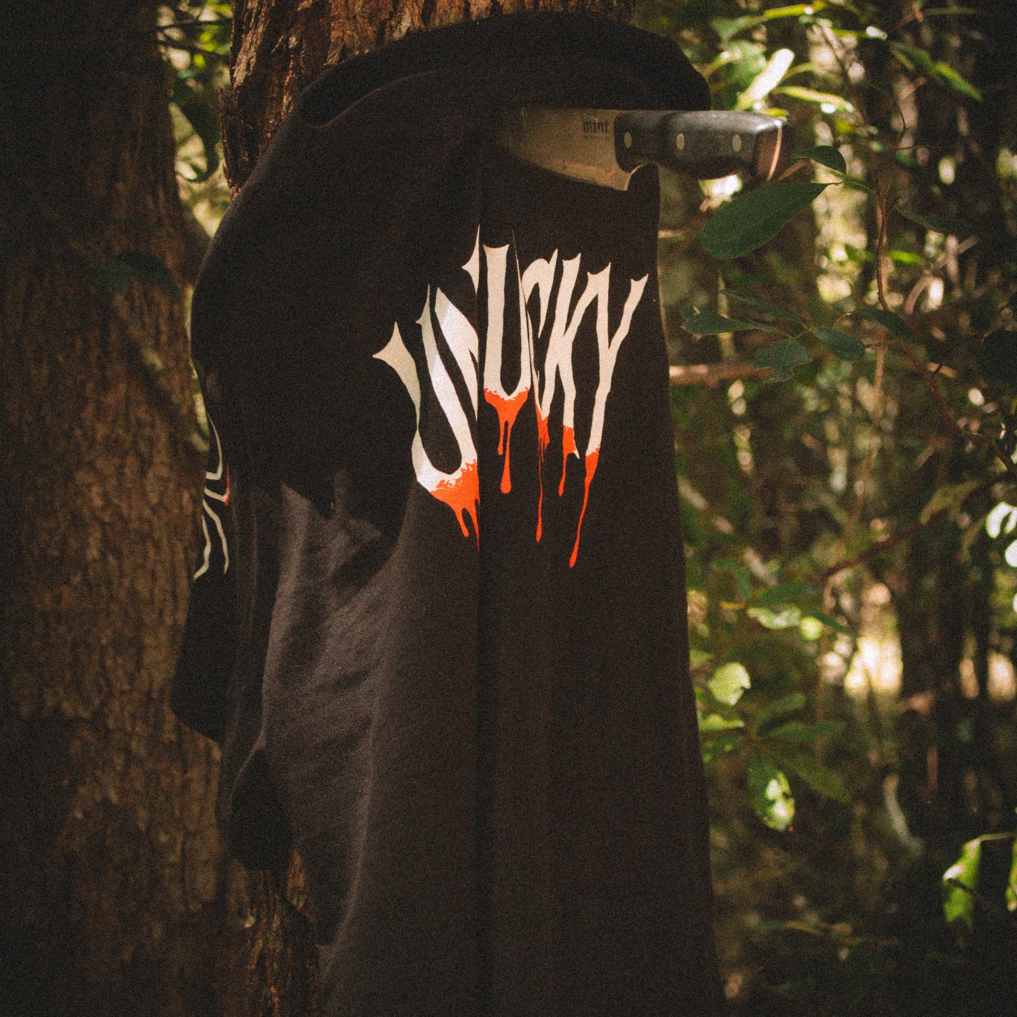 Black hoodie with a logo hanging on a tree in a forest